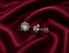 Aurora Bloom Moissanite Stud Earrings