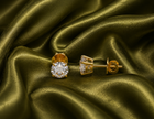 Lumière Classic Moissanite Stud Earrings