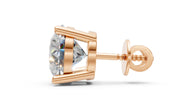 rosegold